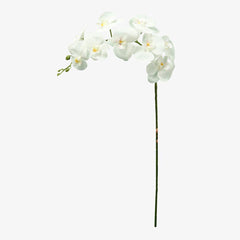 Artificial Real Touch Orchid Flowers