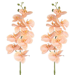 Artificial - Real Touch Orchid Flowers - Peach