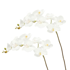 Artificial - Nearly Natural Orchid Flower Stem - White