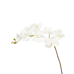 Artificial - Nearly Natural Orchid Flower Stem - White