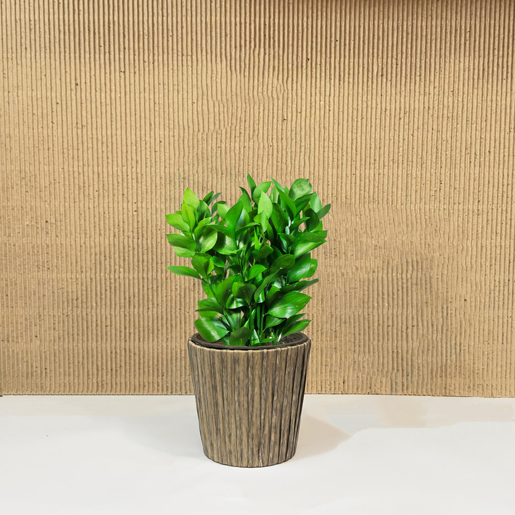 Decorative Planter (Premium Plastic)