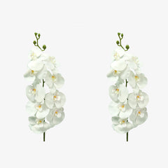 Artificial - Real Touch Orchid Flowers - White