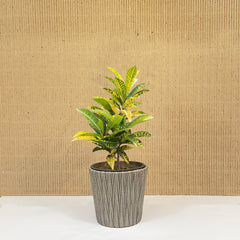 Decorative Planter (Premium Plastic)