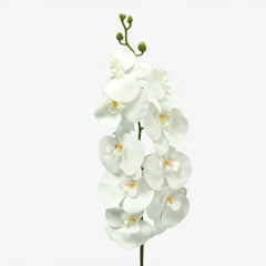 Artificial - Real Touch Orchid Flowers - White