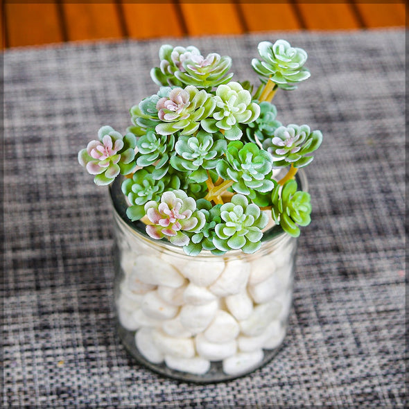 Artificial - Nearly Natural Succulent Plants - Red Green