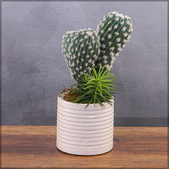 Artificial - Nearly Natural Cacti Plant - Gray Green