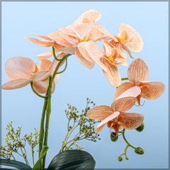 Artificial - Real Touch Orchid Flowers - Peach