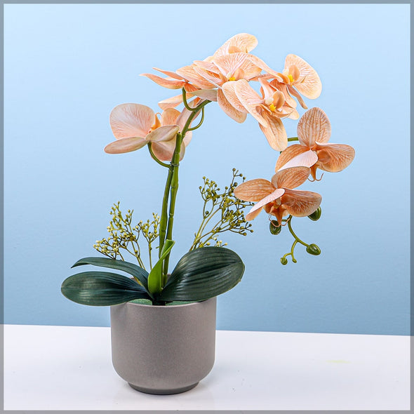 Artificial - Real Touch Orchid Flowers - Peach