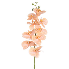 Artificial - Real Touch Orchid Flowers - Peach