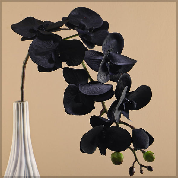 Artificial - Nearly Natural Orchid Flower Stem - Black