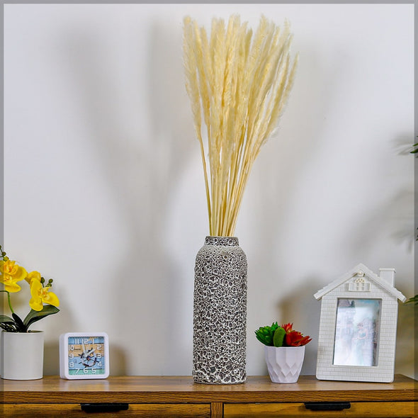 Dried - Pampas Grass Bunch - White