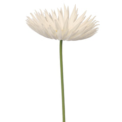 Artificial - Real Touch Daisy Flower - White