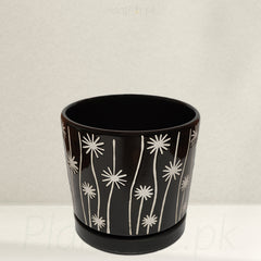 BLACK STARS (Ceramic)