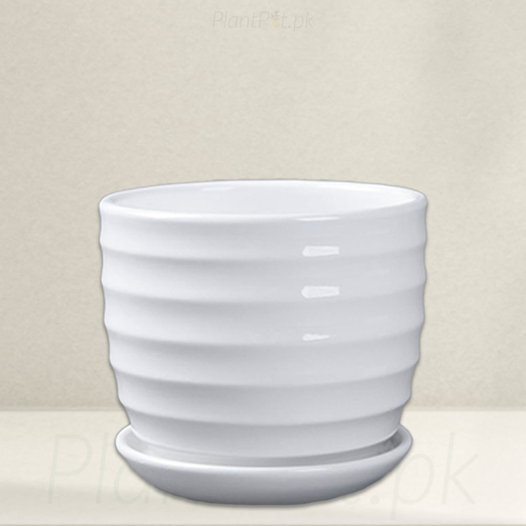 WHITE POT (Ceramic)